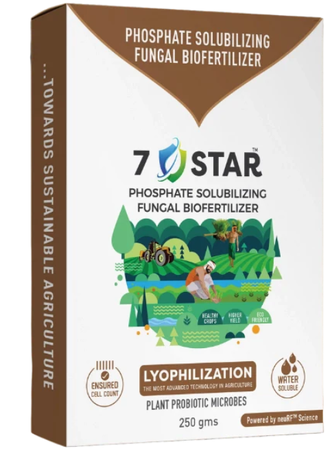 नैनोबी 7 स्टार