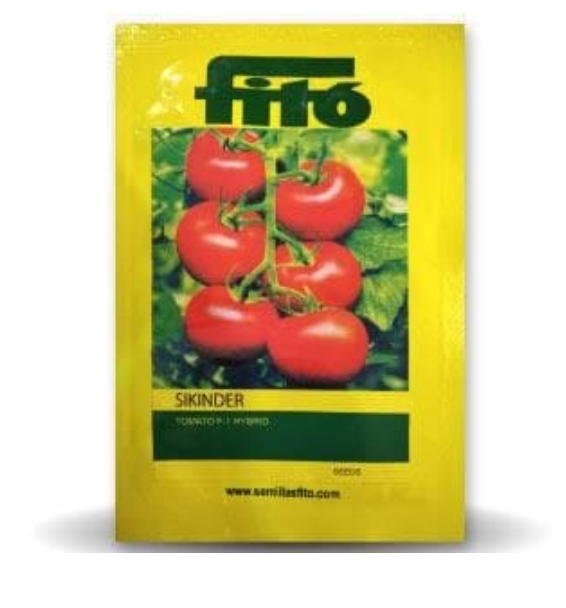 SIKINDER TOMATO ( सिकंदर टमाटर )