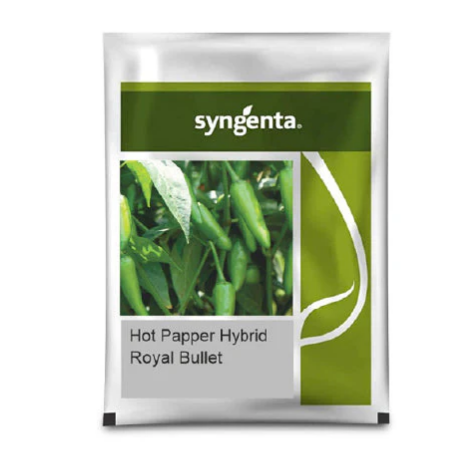 Royal Bullet Chilli Seeds – High Yield, Early Maturity, High Pungency
