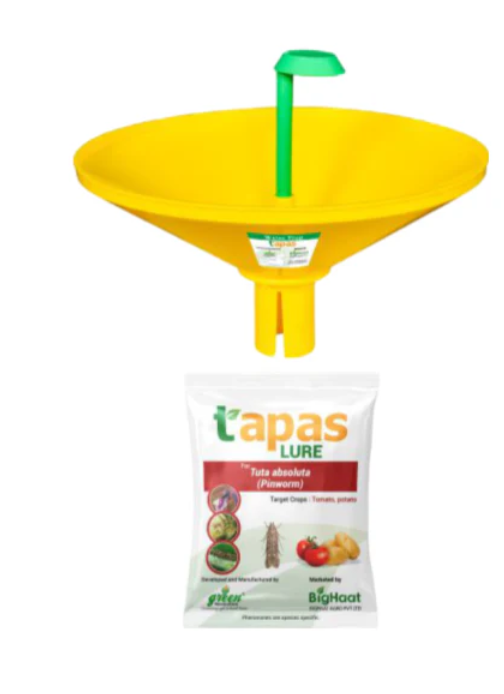 TAPAS WATER TRAP WITH TU-TOM LURE FOR (TUTA ABSOLUTA) COMBO