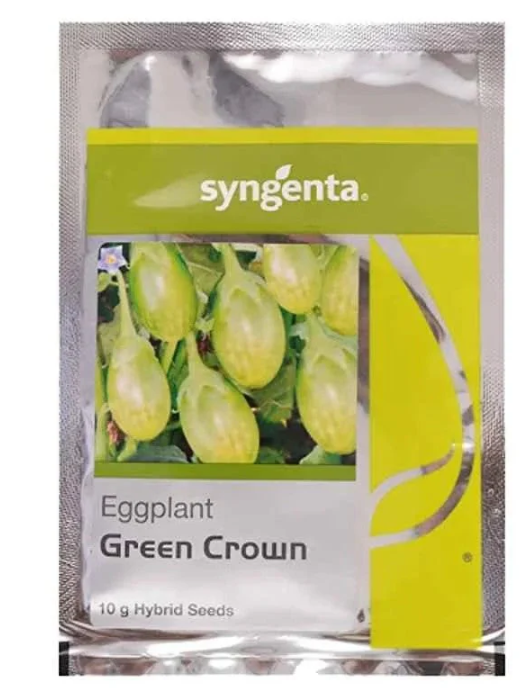 सिंजेंटा ग्रीन क्राउन बैंगन के बीज