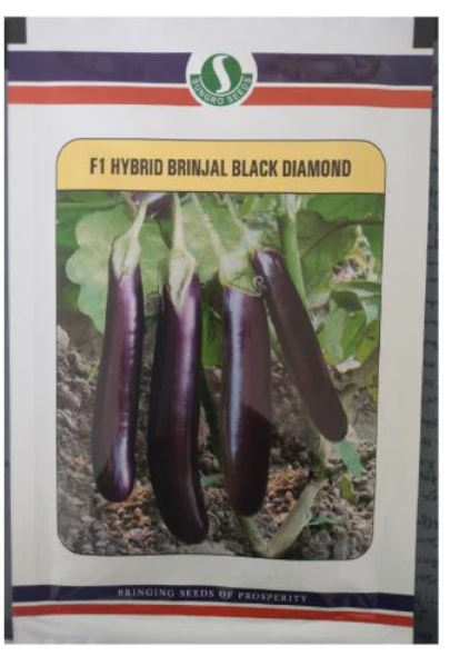Sungro Black Diamond Brinjal Seeds
