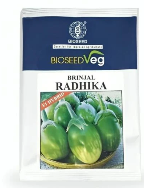 Bioseed Radhika F1 Hybrid Brinjal Seeds