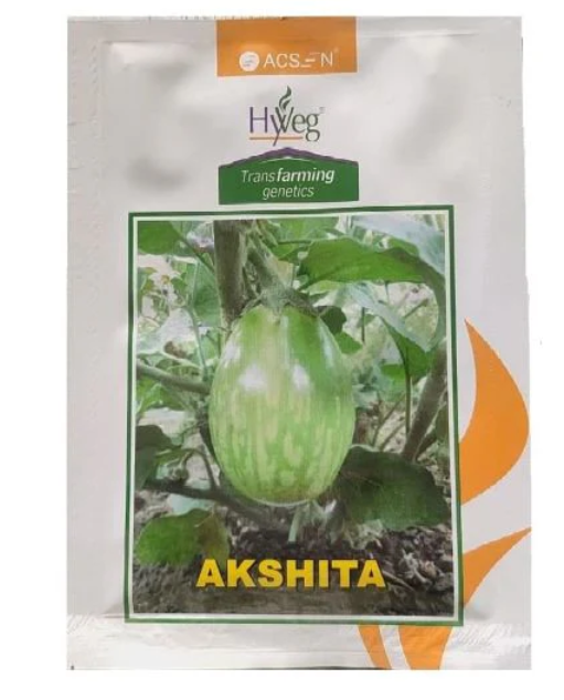 Hyveg Akshita Hybrid Brinjal seeds