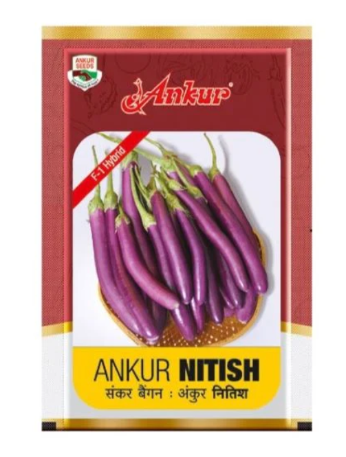 Nitish Brinjal Seeds