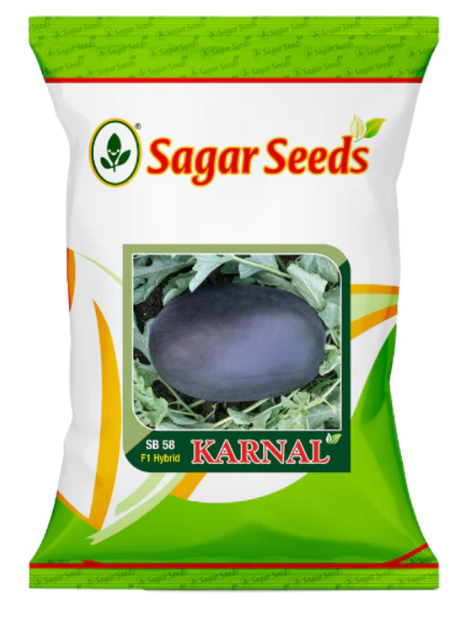Sagar Karnal F1 Watermelon Seeds