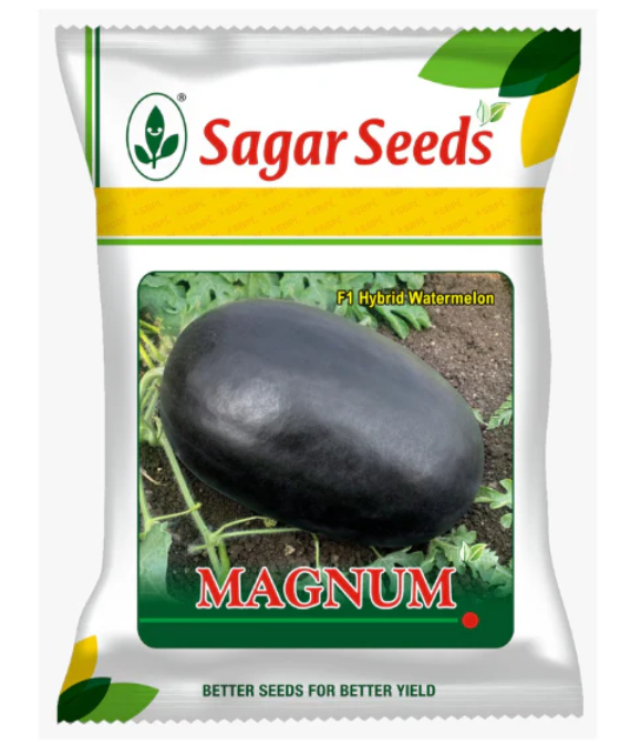 Sagar Magnum F1 Watermelon Seeds