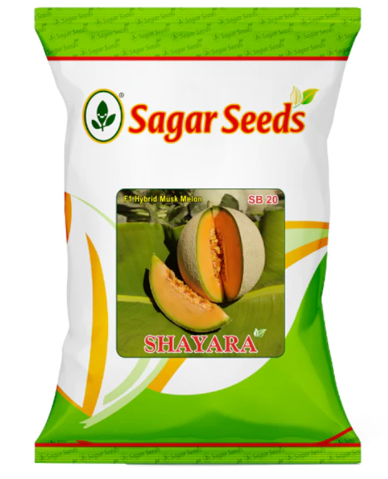 Sagar Shayara F1 Muskmelon Seeds