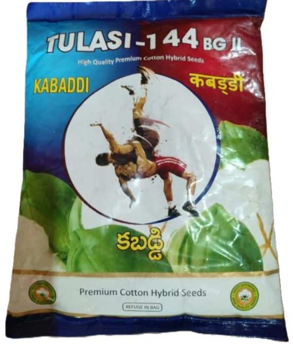 Kabaddi BG II Cotton