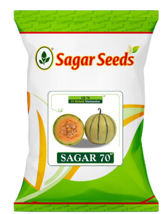 Sagar 70 F1 Muskmelon Seeds