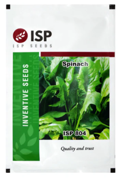 ISP 804 Spinach Seeds