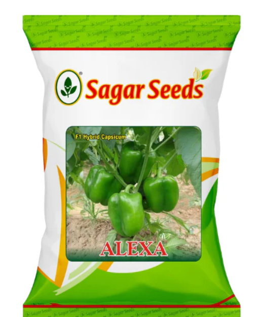 Sagar Alexa F1 Capsicum Seeds