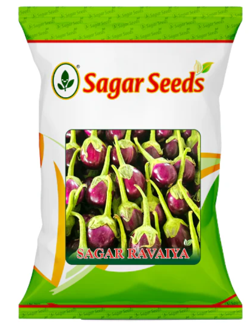 सागर रवैया एफ1 बैंगन के बीज