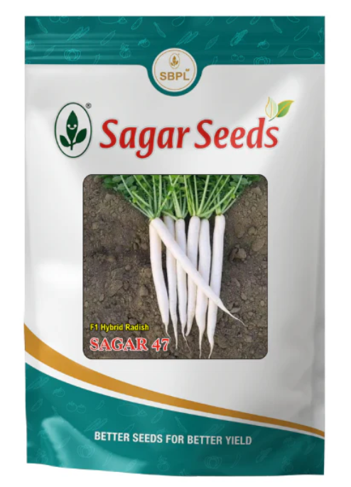 Sagar 47 F1 Radish Seeds
