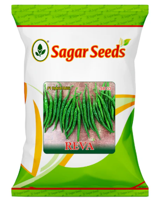 सागर रेवा एफ1 मिर्च के बीज