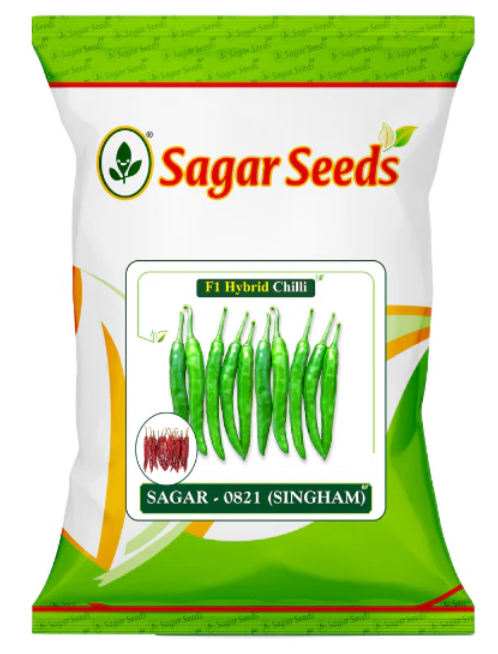 Sagar Singham 0821 F1 chilli seeds