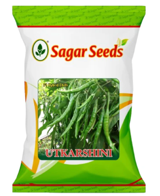Sagar Utkarshini F1 chilli Seeds