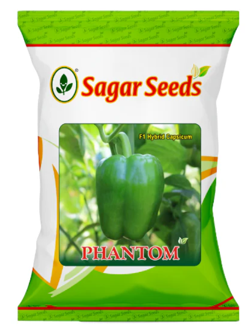 Sagar Phantom F1 Capsicum Seeds
