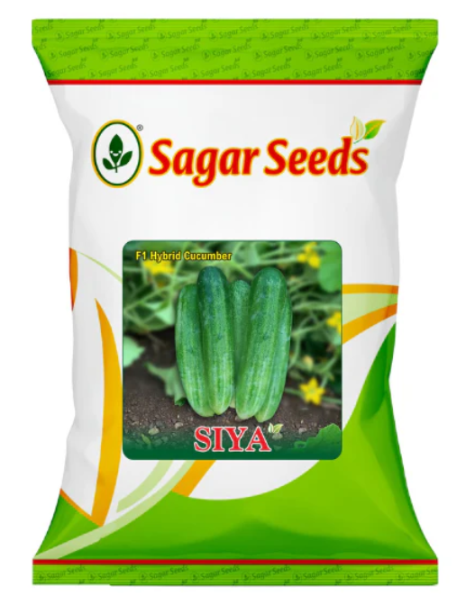Sagar Siya F1 Cucumber Seeds
