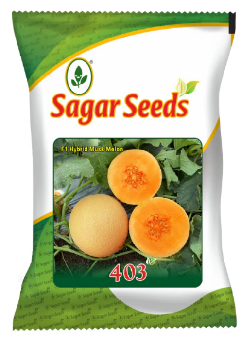 Sagar 403 Muskmelon Seeds