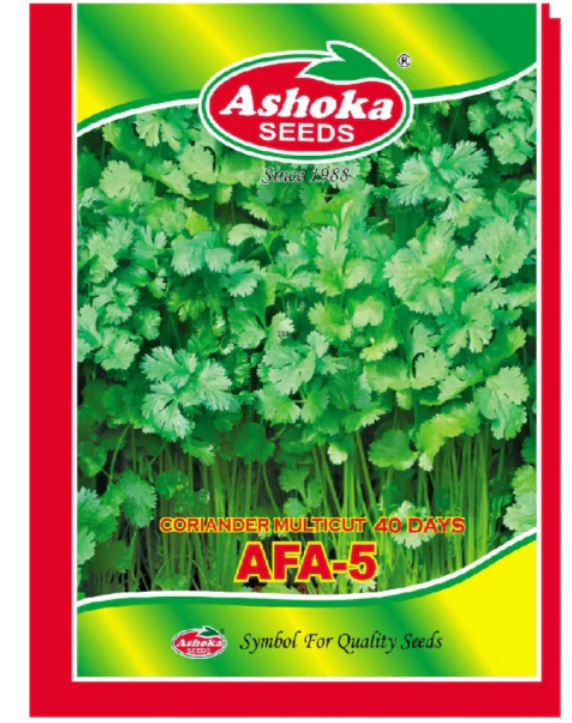 Ashoka AFA-5 coriander seeds