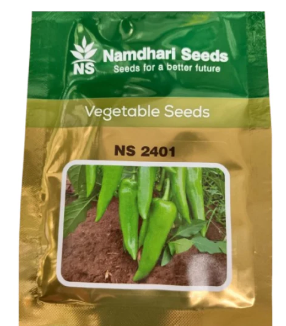 NS 2401 CHILLI SEEDS