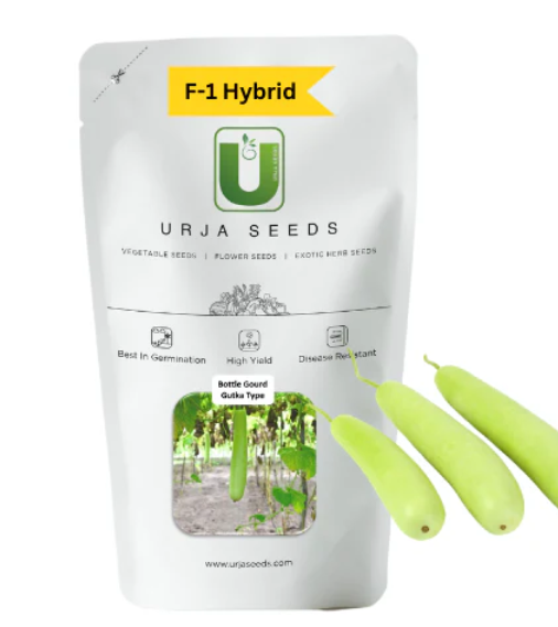 URJA BOTTLE GOURD GUTKA