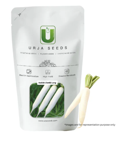 URJA CHETKI LONG RADISH SEEDS