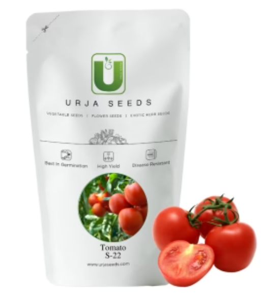 URJA S-22 TOMATO SEEDS