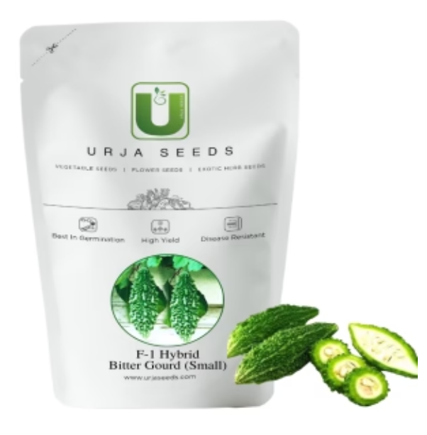 URJA F-1 HYBRID BITTER GOURD SEEDS (PURE GREEN PLUS)