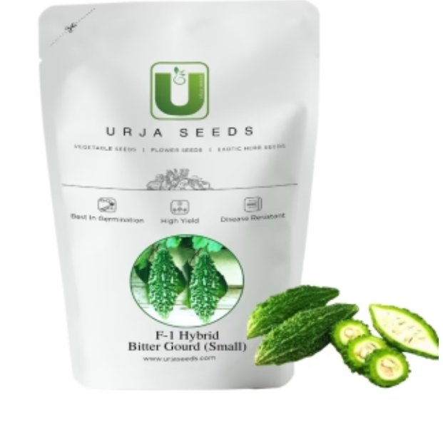BITTER GOURD F1 SEEDS US 444