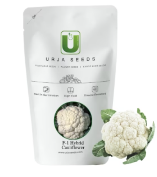 URJA SUMMIT - CAULIFLOWER F-1 HYBRID SEEDS