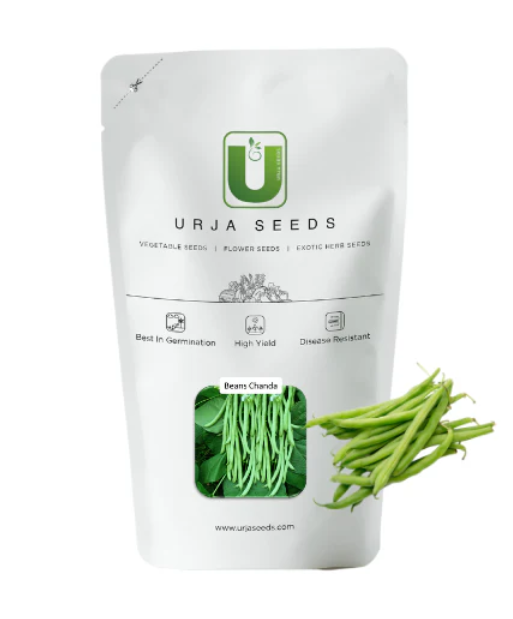 URJA BEANS CHANDA