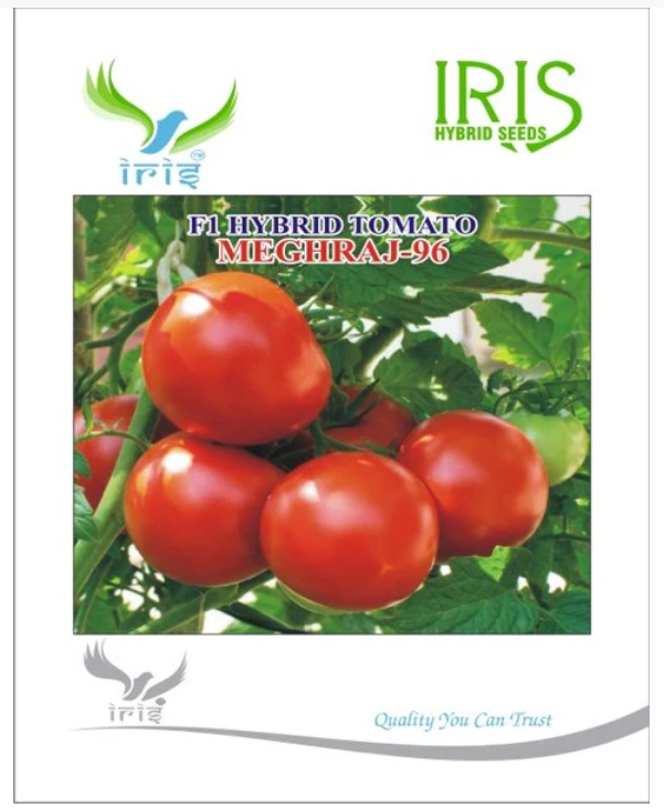 IRIS HYBRID F1 TOMATO MEGHRAJ-96