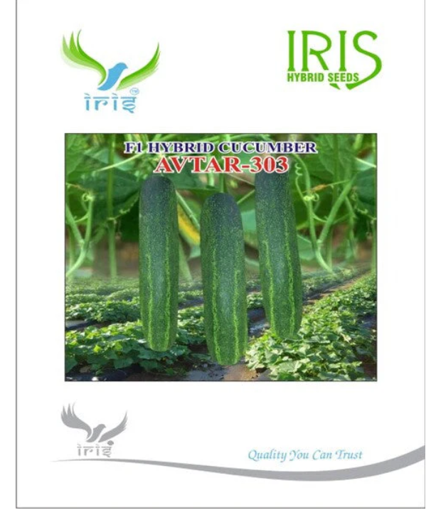 IRIS HYBRID F1 CUCUMBER AVTAR-303