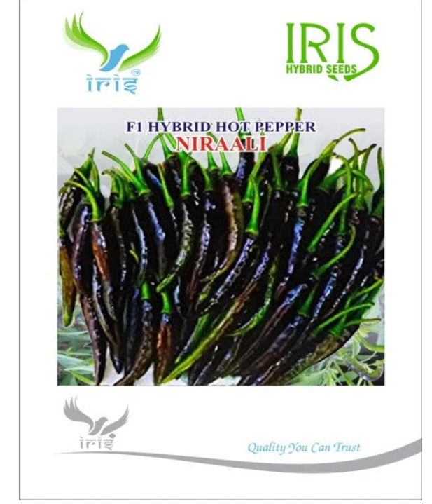 Iris Hybrid F1 HOT PEPPER NIRAALI