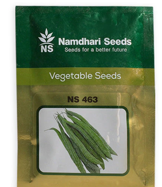 Bitter gourd NS 463