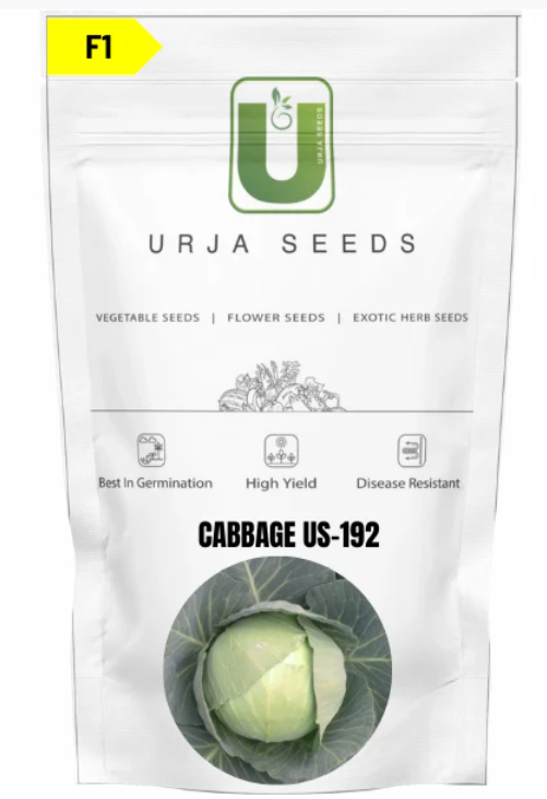 URJA CABBAGE F1 US-192