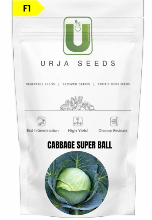 URJA CABBAGE F1 SUPERBALL