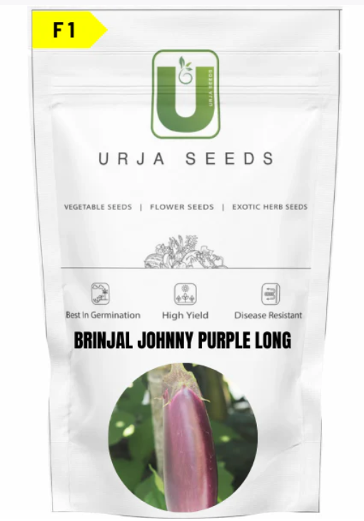 URJA BRINJAL F1 JOHNNY