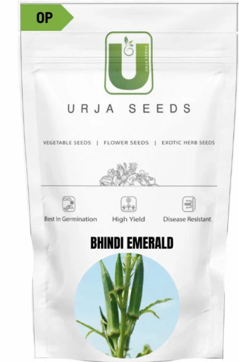 బీండకాయ F1 రిధిమా