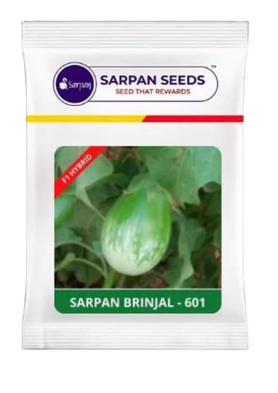 SARPAN BRINJAL – 601 (Green colour)