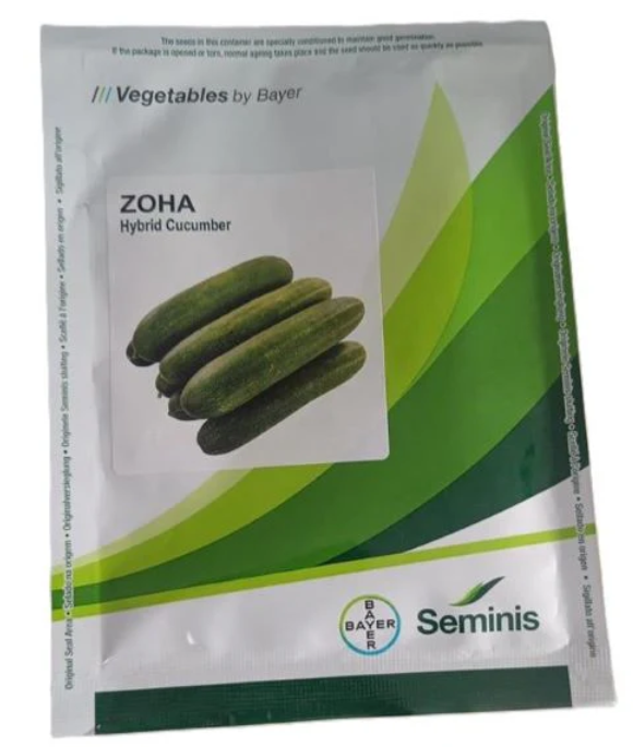 Zoha Cucumber