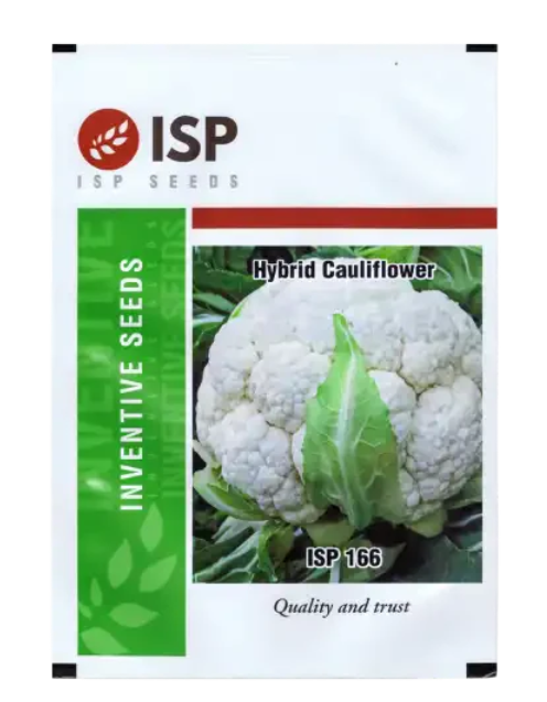 ISP166 CAULIFLOWER