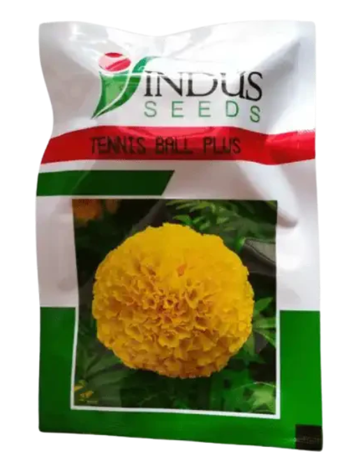 INDUS TENNIS BALL PLUS SEEDS