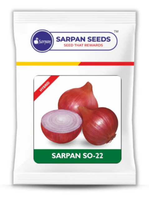 SARPAN SO - 22 ONION SEEDS