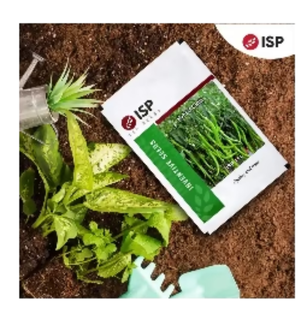 ISP151 मिर्च