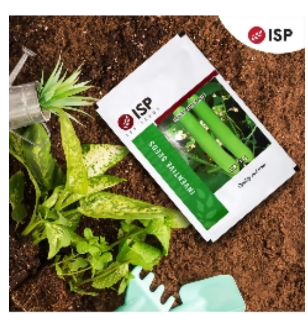 ISP195 BOTTLE GOURD