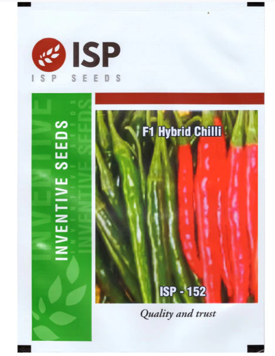 ISP152 संकरण मिर्च