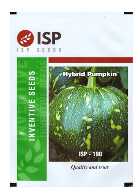 ISP190 గుమ్మడికాయ - గ్రీన్ స్కిన్